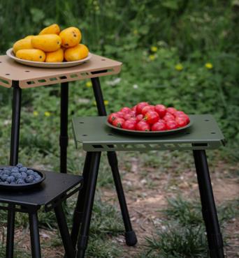 Teleskopischer Klappbarer Dopp – Fishing Equipment In Bewertung und Preis