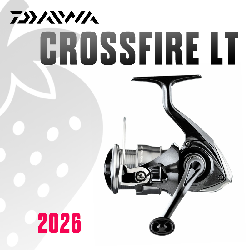 DAIWA 2026 CROSSFIRE LT Angelr – Fishing Equipment Daiwa Bewertung und Preis