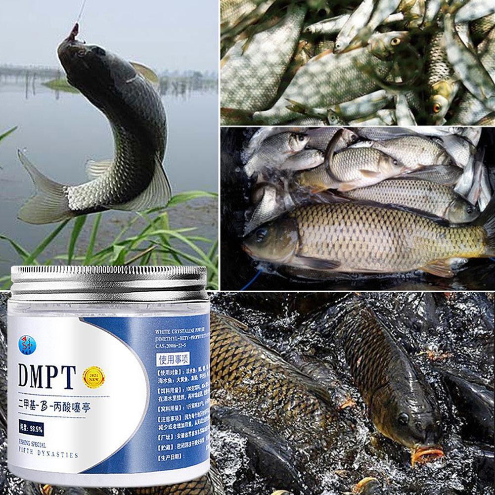 50g Echt DMPT Hohe Reinheit An – Fishing Equipment For Sale Bewertung und Preis